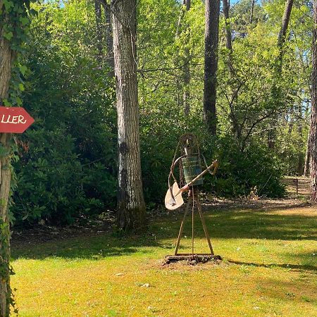Le Petit Poulailler Au Beau Milieu Des Pins Villa Lacanau Exterior foto