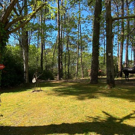 Le Petit Poulailler Au Beau Milieu Des Pins Villa Lacanau Exterior foto