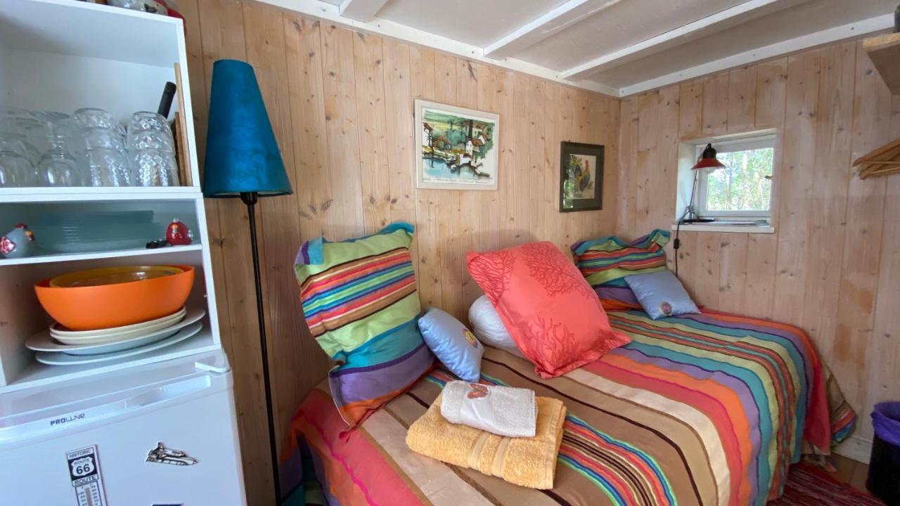 Le Petit Poulailler Au Beau Milieu Des Pins Villa Lacanau Exterior foto