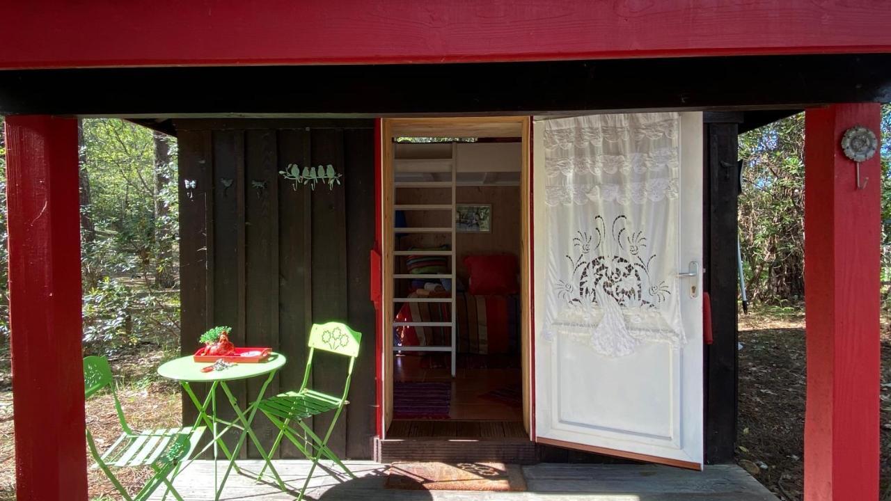 Le Petit Poulailler Au Beau Milieu Des Pins Villa Lacanau Exterior foto