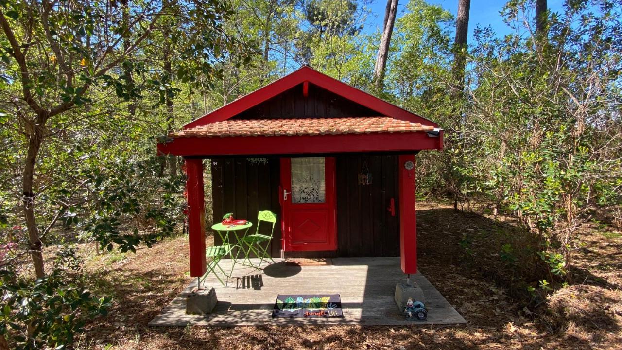 Le Petit Poulailler Au Beau Milieu Des Pins Villa Lacanau Exterior foto
