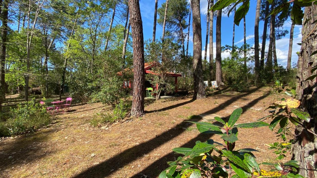 Le Petit Poulailler Au Beau Milieu Des Pins Villa Lacanau Exterior foto