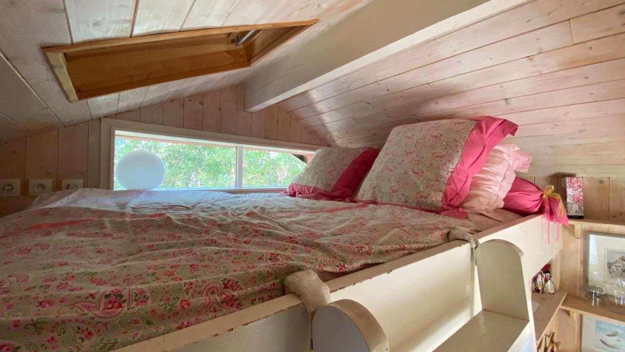 Le Petit Poulailler Au Beau Milieu Des Pins Villa Lacanau Exterior foto