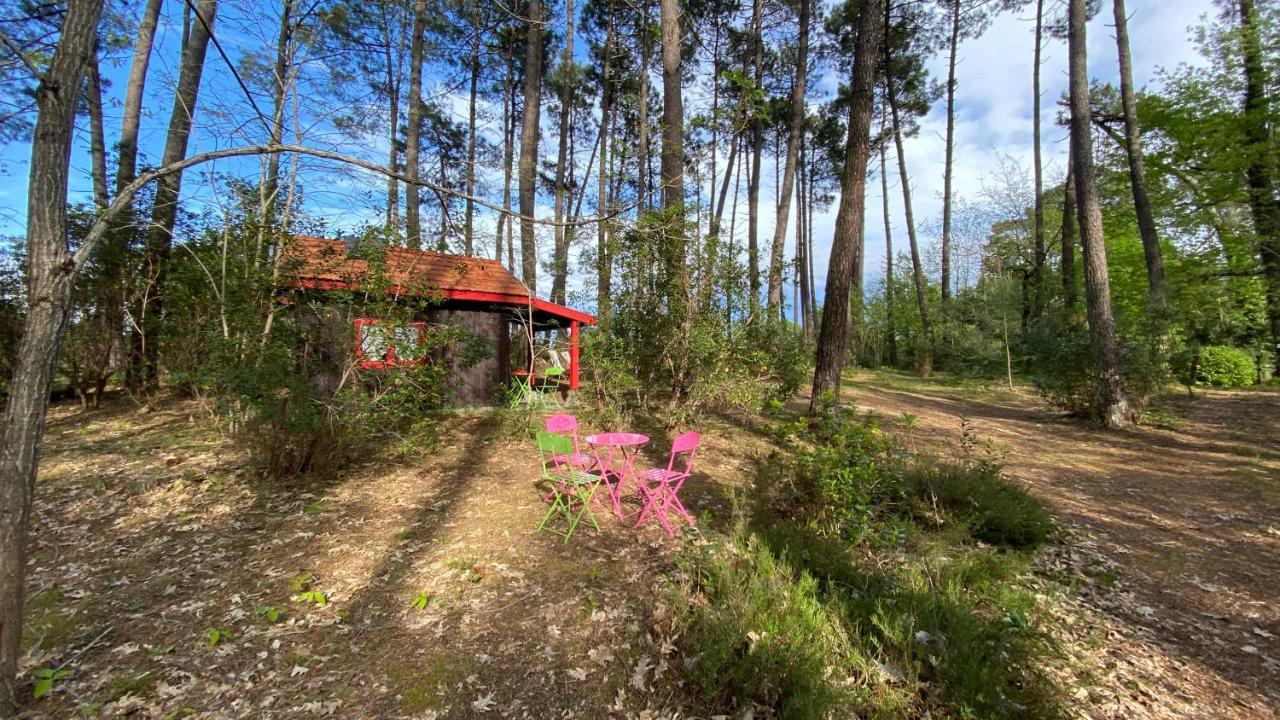 Le Petit Poulailler Au Beau Milieu Des Pins Villa Lacanau Exterior foto