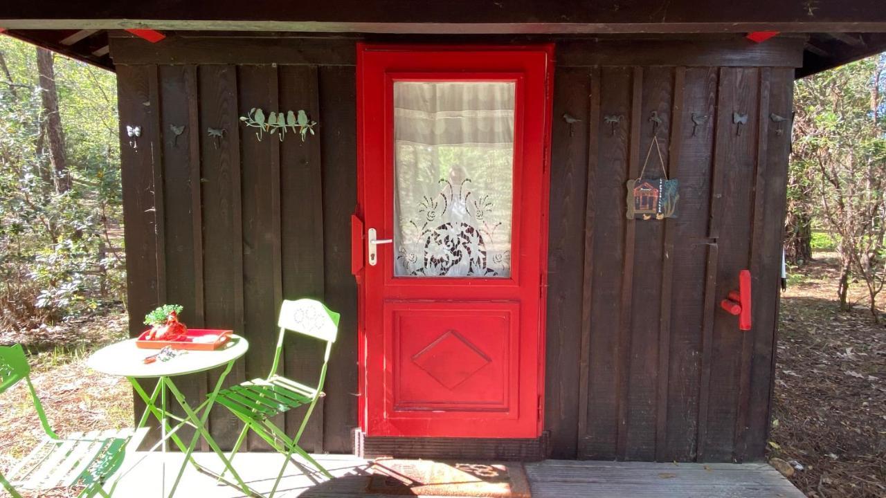 Le Petit Poulailler Au Beau Milieu Des Pins Villa Lacanau Exterior foto