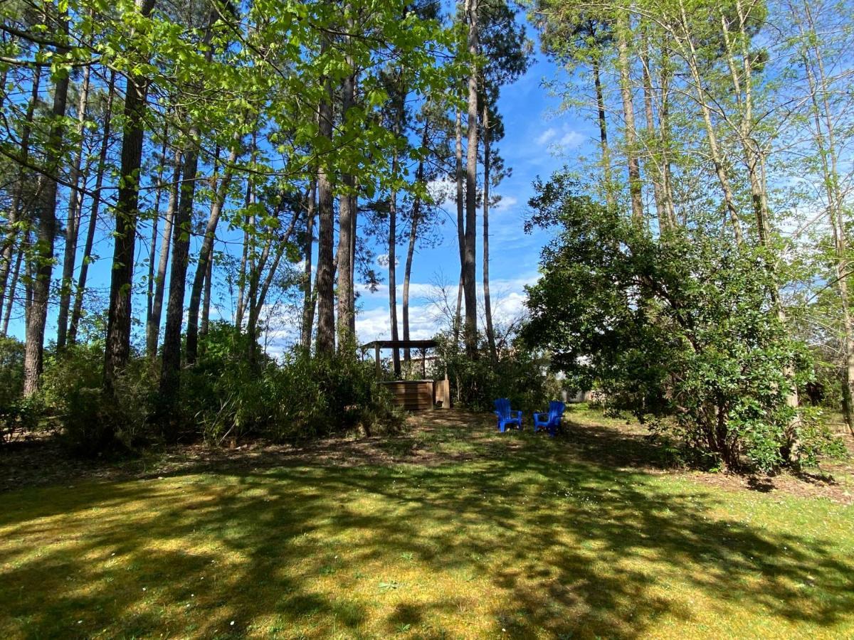 Le Petit Poulailler Au Beau Milieu Des Pins Villa Lacanau Exterior foto