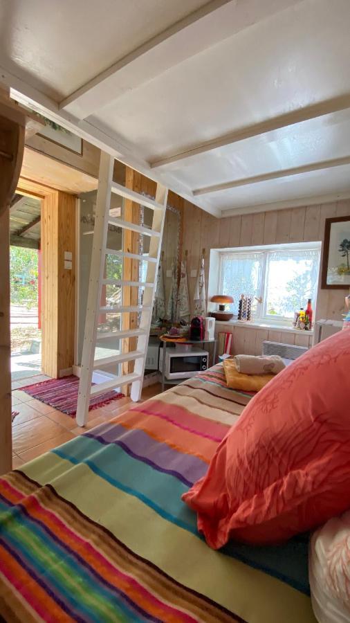 Le Petit Poulailler Au Beau Milieu Des Pins Villa Lacanau Exterior foto