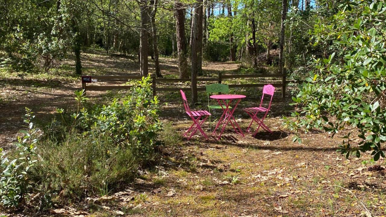 Le Petit Poulailler Au Beau Milieu Des Pins Villa Lacanau Exterior foto
